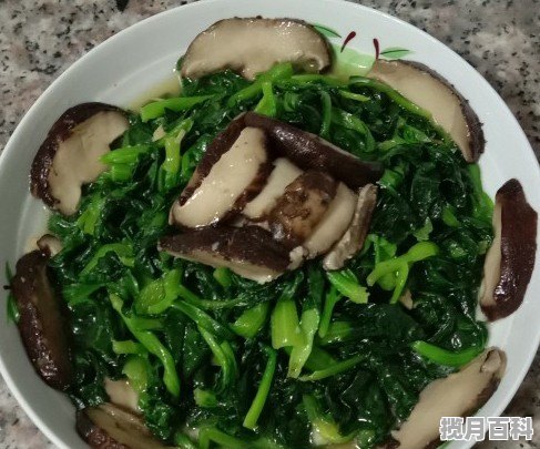 遵义小吃街哪里最出名,附近高大上美食推荐