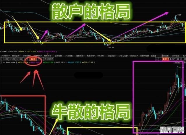 电脑看盘基础知识_股票入门基础知识从零开始学炒股