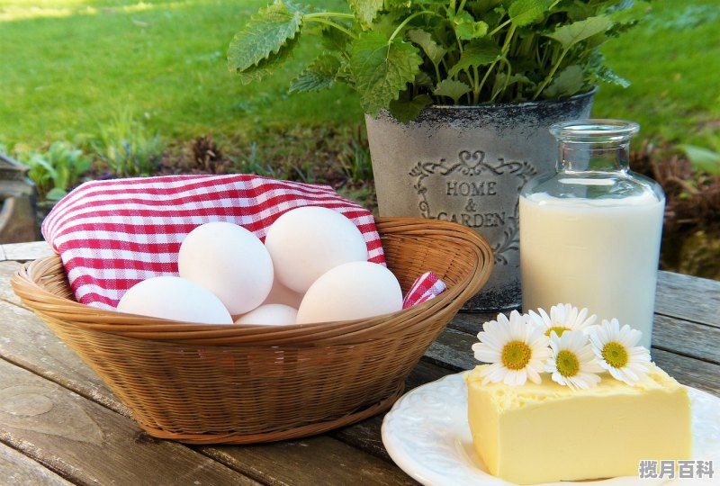 夏季养生最佳食谱 健康养生方法养生食谱