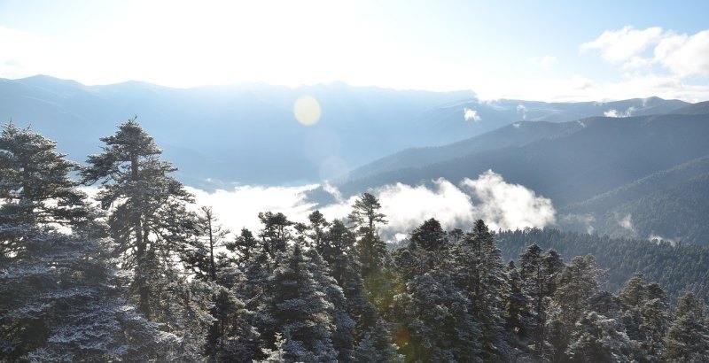 原神绝云山间遇仙怎么过 原神绝角色攻略