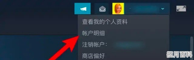 steam最真实的飞行模拟游戏 steam上模拟游戏推荐