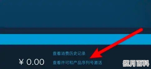 steam最真实的飞行模拟游戏，steam上模拟游戏推荐