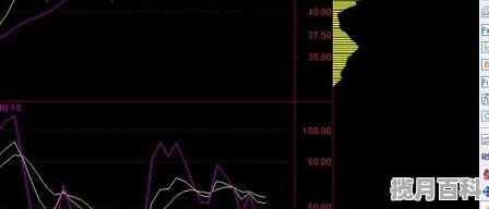 股票基础知识术语,股票基础知识入门新手术语