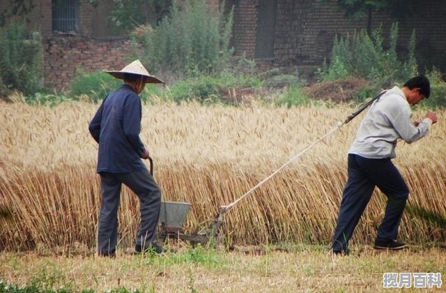 鸭爪爪来自哪个地方_南川窑湾公园介绍