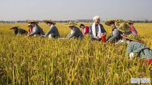 鸭爪爪来自哪个地方_南川窑湾公园介绍