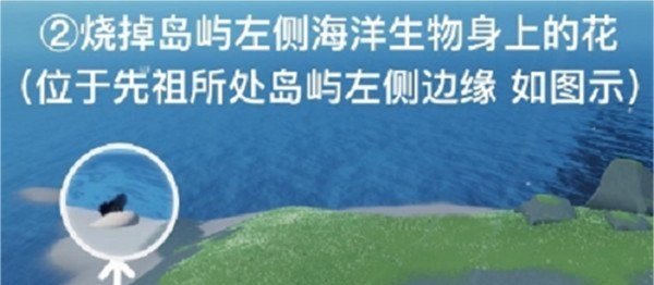 光遇更新圣岛被污染任务怎么做，光遇10月7圣岛任务