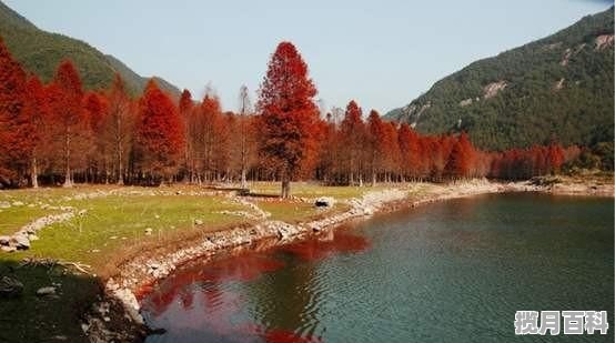 请问上海周边100公里左右自驾游有哪些景点推荐，上海周边美食推荐自驾