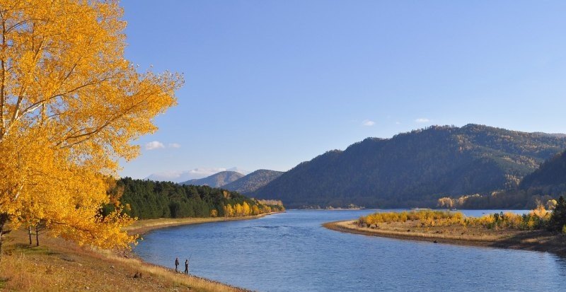 光遇萤火森林景点,光遇打卡景点