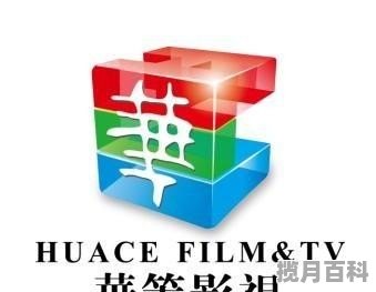 华策影视2021年已上映多少部作品 华策影视最新电影作品