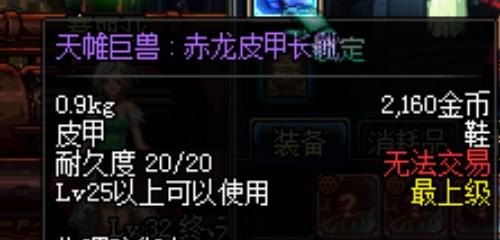 地下城与勇士看不到装备属性，地下城与勇士突然没了属性