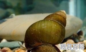 昆明溪流野钓地点推荐 贵阳小河美食推荐