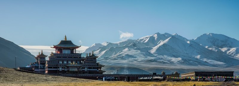 原神雷泽的强度怎么样 原神龙脊雪山雷泽武器怎么拿