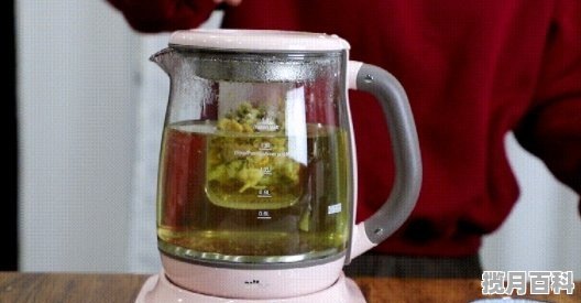 小熊煮茶器使用方法，煮茶器多功能养生壶怎么操作