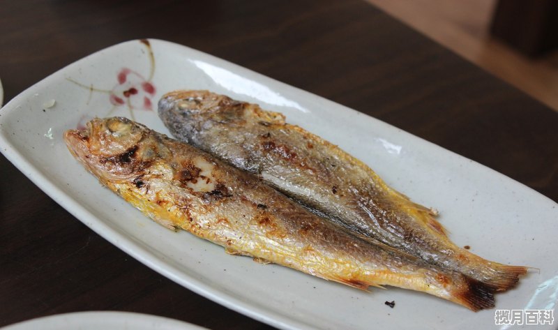 郑州西郊适合家庭聚餐实惠的地方 香香美食推荐西郊美食