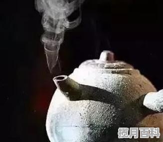 陶壶煮普洱茶方法_生普洱茶煮的方法