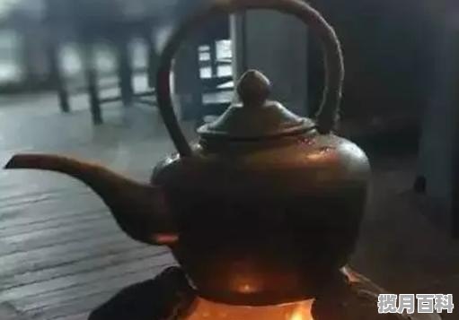 陶壶煮普洱茶方法_生普洱茶煮的方法