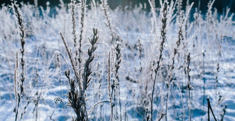 和平精英雪地怎么匹配到小雪天气 和平精英冰雪模式刷新点