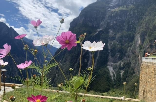 “香格里拉”是真的存在吗,和平精英沙漠守护神