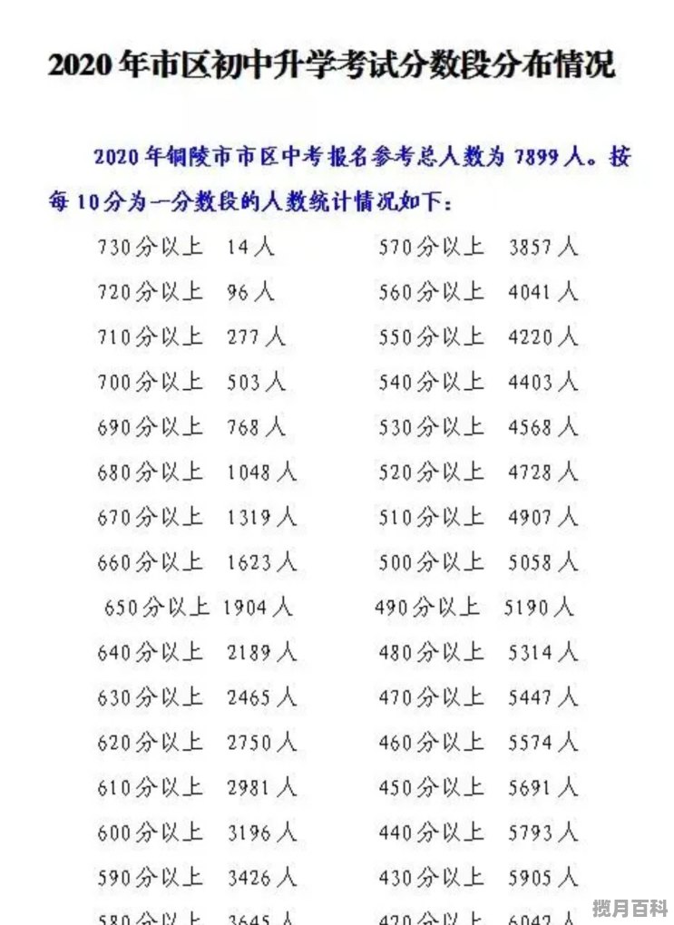 2020年铜陵中考录取情况_2020横埠中学高考怎么样