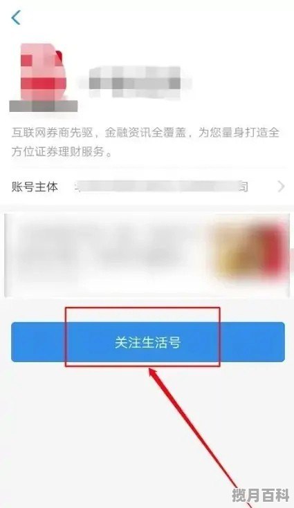 支付宝怎么开通股票,怎么可以在支付宝买股票