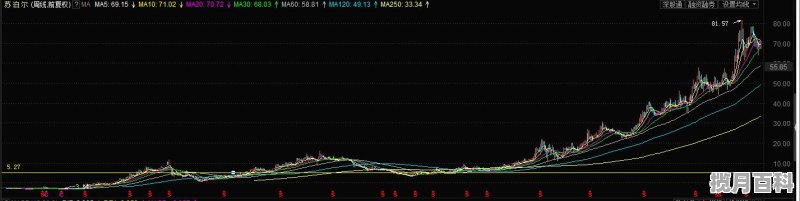 上海滩洪金宝新拍的电影叫啥 洪金宝导演最新电影叫什么名字