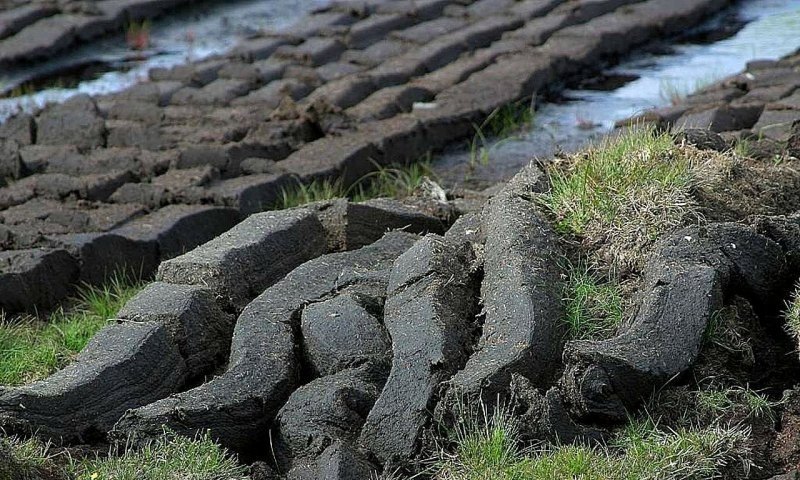 原神丹迪挑战攻略_原神海祇岛秘境下的挑战怎么过