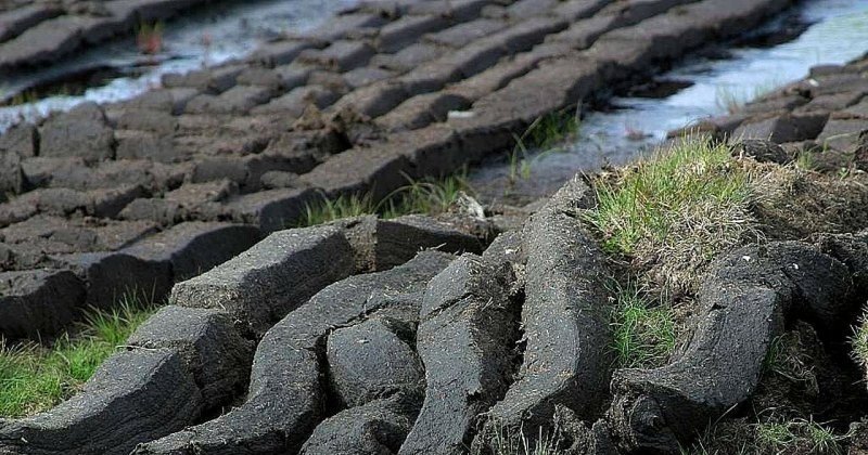 王者荣耀6月12日 王者荣耀6月12日