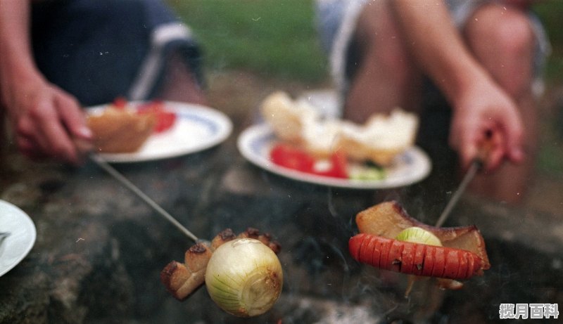 祛湿茶用养生壶怎么煮 养生壶食谱 祛湿