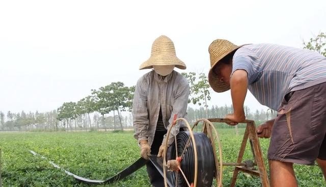 飞霞的近义词 光遇霞所有光翼位置