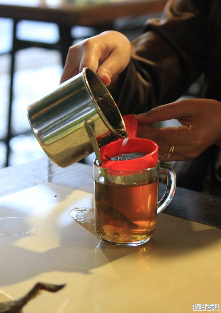 养生壶茶饮配方_养生壶煮茶是水开后放入茶叶还是生水放入