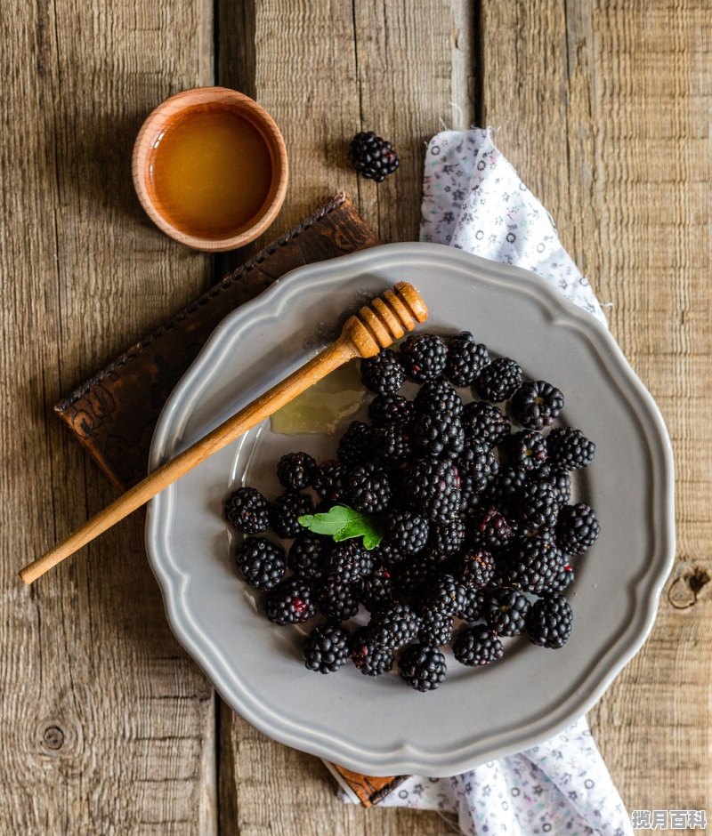 煮茶器哪个牌子好 养生茶煮茶器哪种好