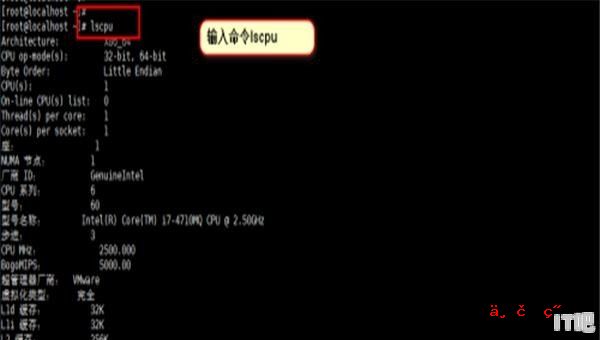 ARM处理器可以使用LINUX系统吗 cpu z for linux