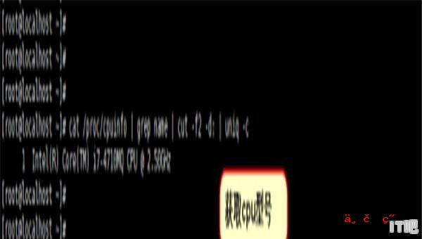 linux查看服务器cpu配置命令,linux怎么查看cpu - IT吧