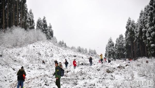 有人知道崇州市哪儿中餐生意好_街子古镇哪家中餐馆最好