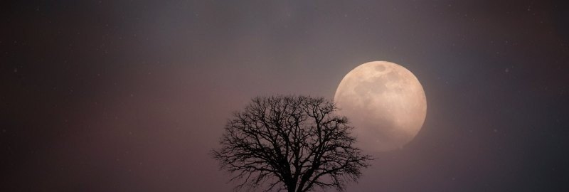 残雪无痕女主角是谁 穿越火线大飞姐姐