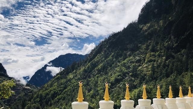 鸟掉毛是不是病了啊，穿越火线喜鹊拔毛 - 小牛游戏