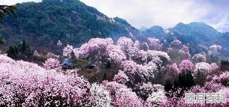 平顶山哪里的烧烤最好吃,平顶山烧烤美食推荐