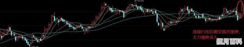 涨停股有哪些具体特征 中路股份股票