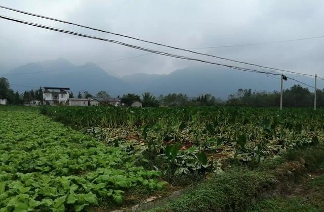 四川适合人类居住吗_穿越火线山城生化 - 小牛游戏