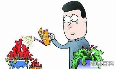 义乌一中录取分数线2019_今年金华地区的高考最高分是多少