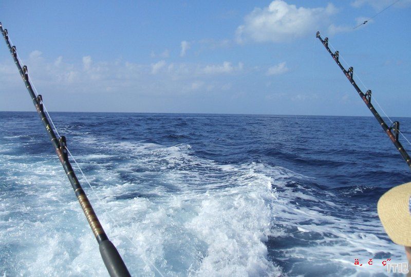 龙口出海钓鱼费用