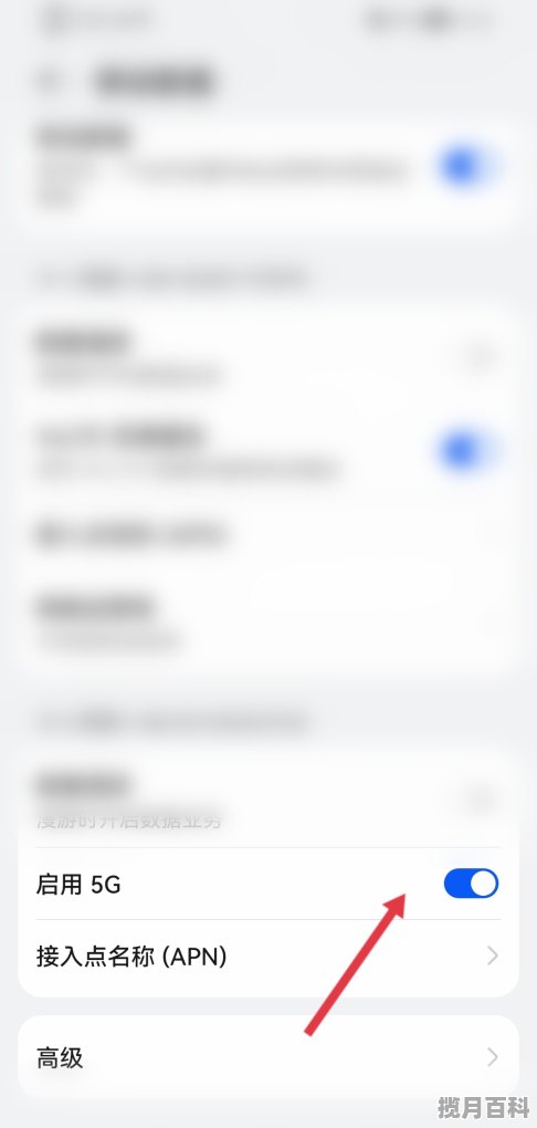 荣耀chl-an00介绍_荣耀更新后5g开关不见了怎么办