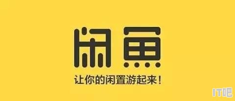 为什么闲鱼一发布就有人秒拍 - IT吧