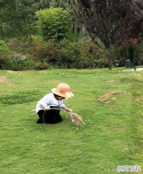 夏天旅游穿什么衣服好看又舒服_张家界夏季旅游穿搭