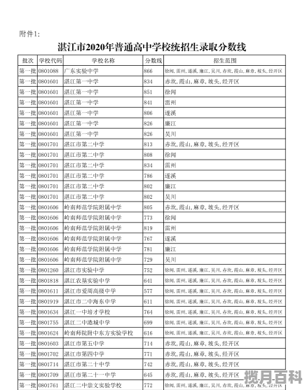 特斯拉员工股票期权是什么意思_特斯拉股票历史最低多少