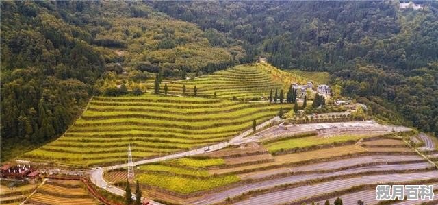 彭州可以耍水和自助烧烤的地方，彭州美食推荐自助餐价格