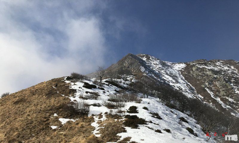 如何组装一辆性价比高的山地车  想用来走青藏线