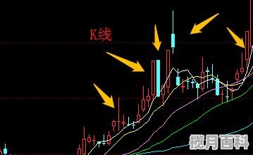 秋季棕色穿搭叫什么 办公室穿搭秋季