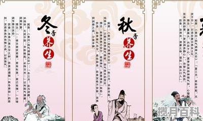 2021年中端处理器排行榜_2021年中端手机性能排行榜