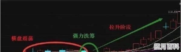 不锈钢底养生壶能煎中药吗_不锈钢底盘的养生壶可以煎中药么